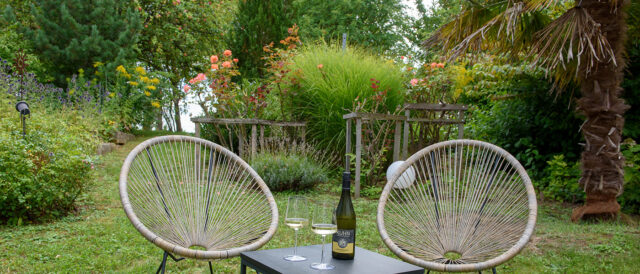 Ihr Familienweingut mit Tradition und Innovation